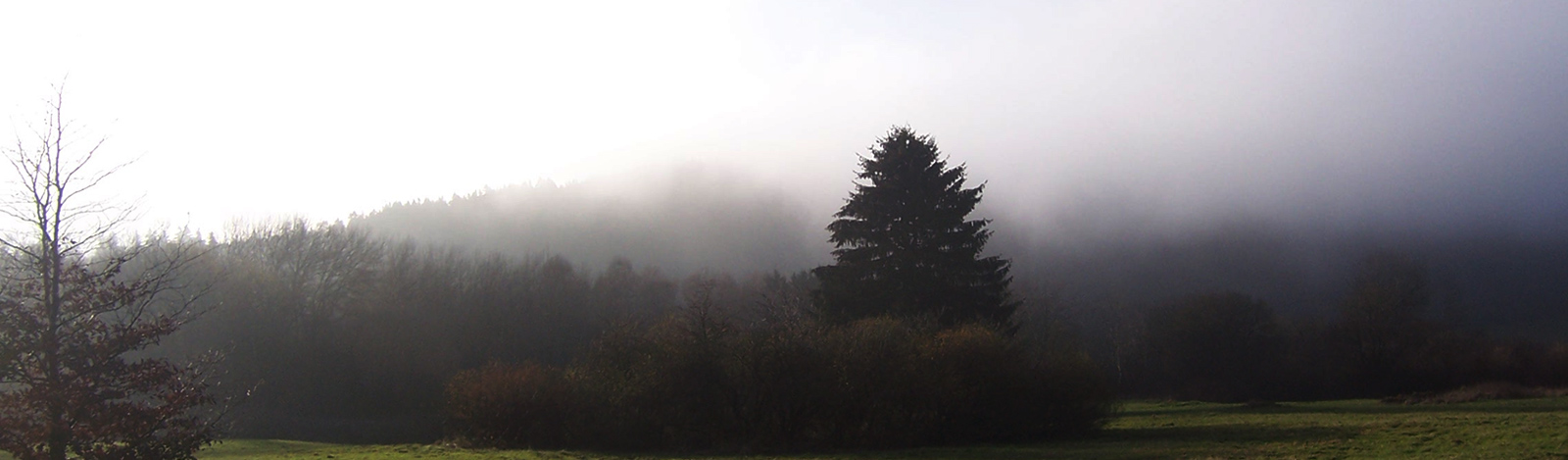 page-header