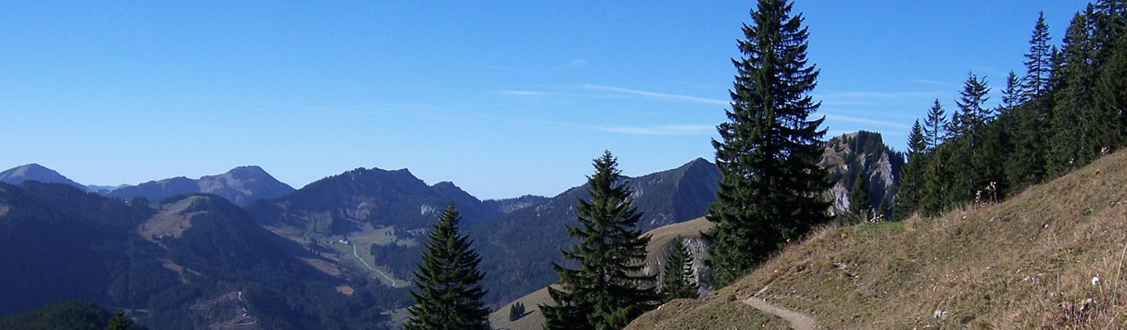 page-header